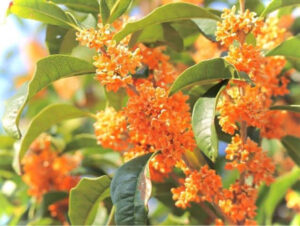 季節の変わり目